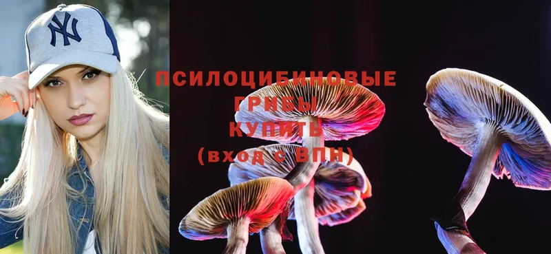 где купить наркотик  Алексеевка  МЕГА зеркало  Галлюциногенные грибы Cubensis 